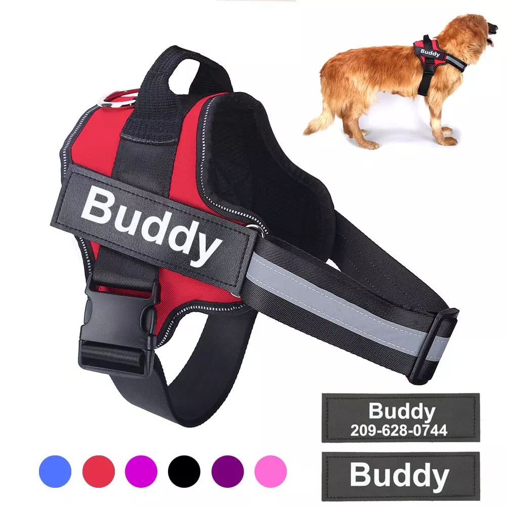 Arnés personalizado para perro powderblue-hare-380135.hostingersite.com