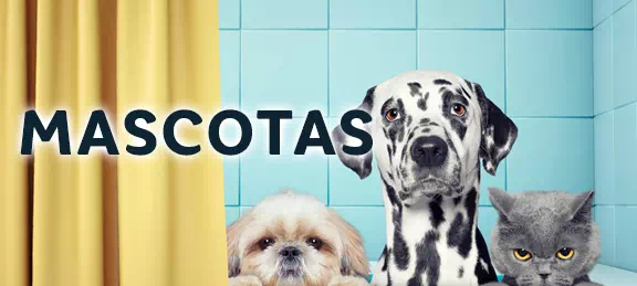 Mascotas en powderblue-hare-380135.hostingersite.com
