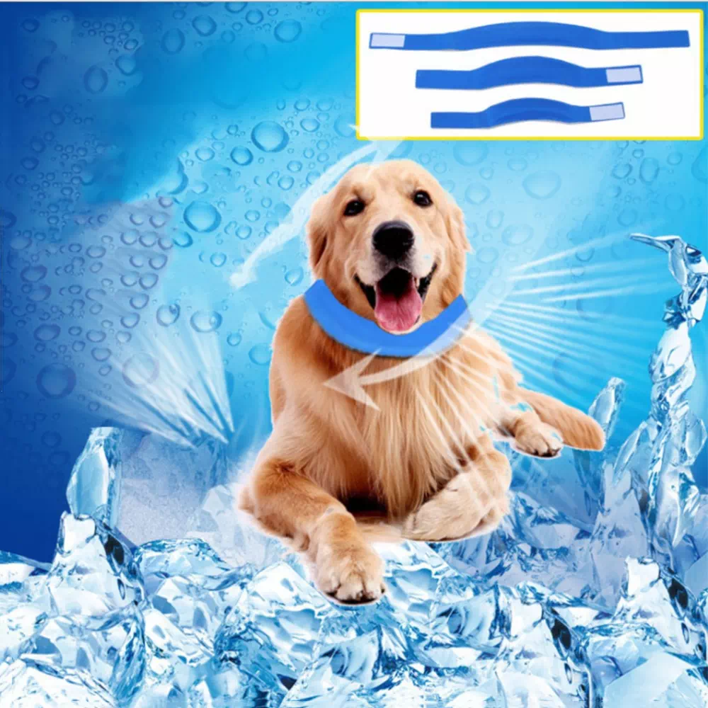 Collar de refrigeración para mascotas powderblue-hare-380135.hostingersite.com