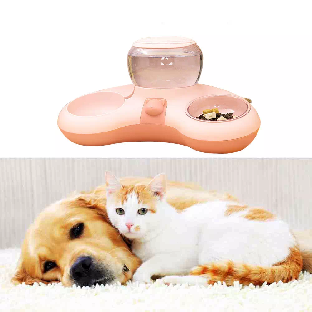 Comedero automático para gatos y perros powderblue-hare-380135.hostingersite.com